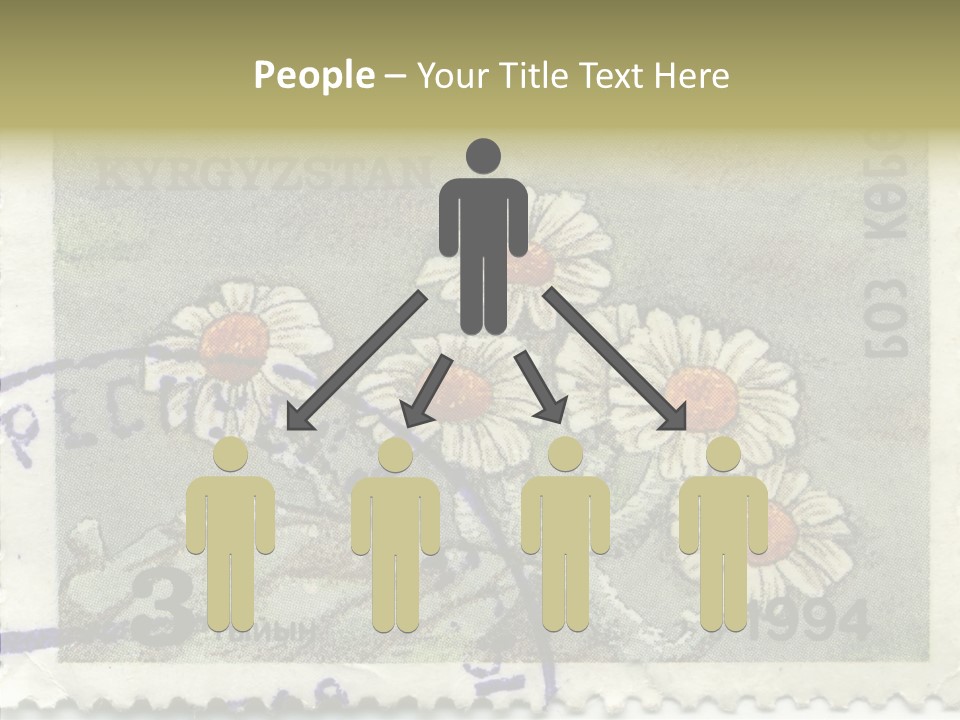 Senior  Caregiver Hold PowerPoint Template