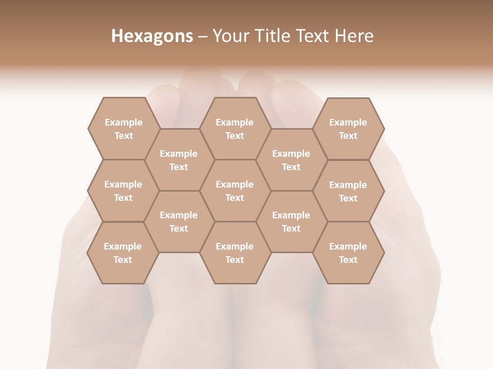 Senior  Sharing Senior PowerPoint Template