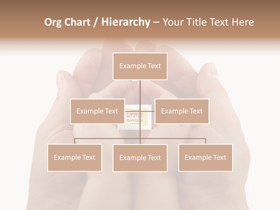 Senior  Sharing Senior PowerPoint Template