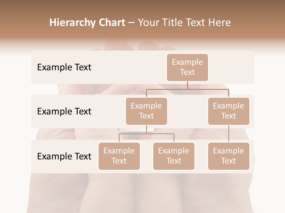 Senior  Sharing Senior PowerPoint Template