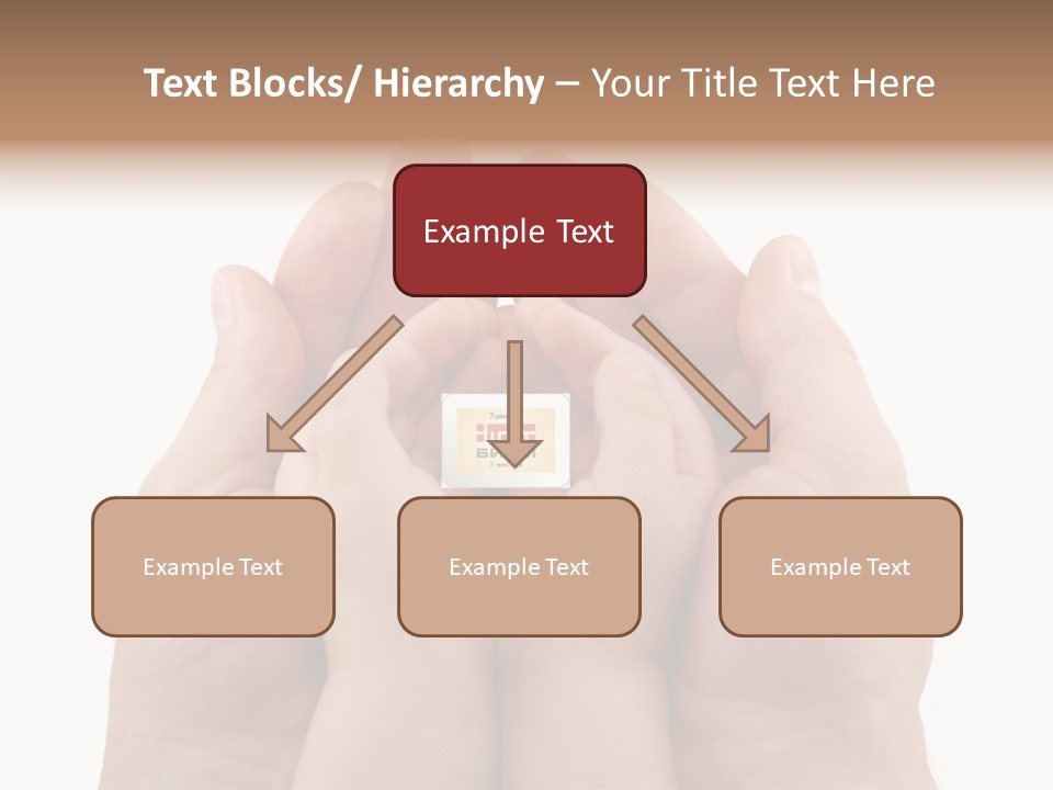 Senior  Sharing Senior PowerPoint Template