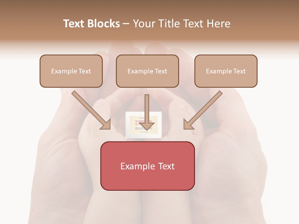 Senior  Sharing Senior PowerPoint Template