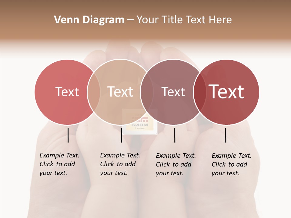 Senior  Sharing Senior PowerPoint Template