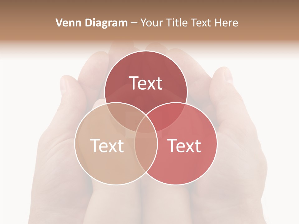 Senior  Sharing Senior PowerPoint Template