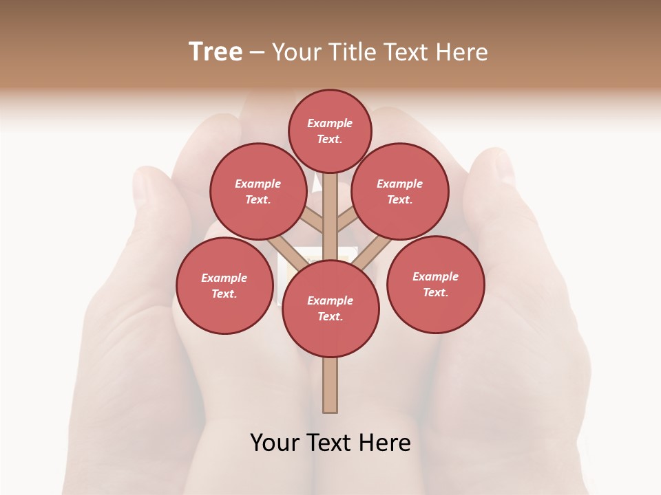 Senior  Sharing Senior PowerPoint Template