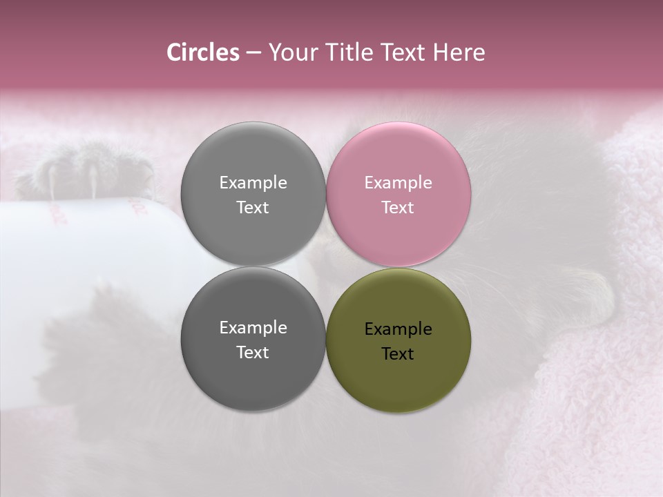 Young Finger White Background PowerPoint Template