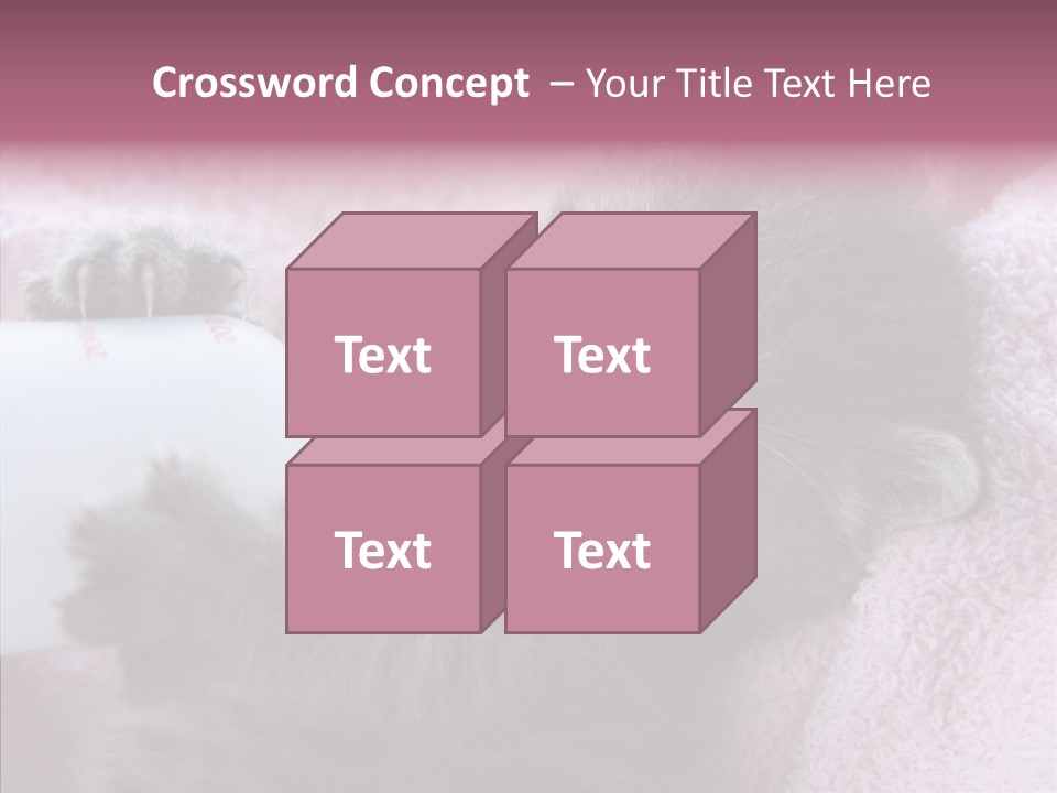 Young Finger White Background PowerPoint Template