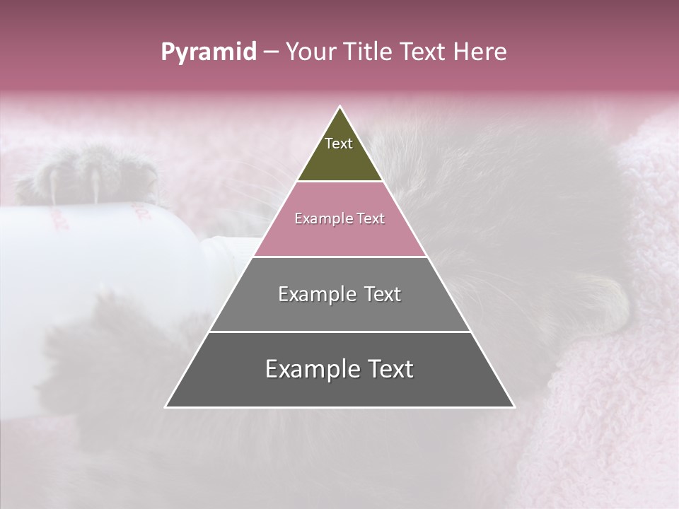 Young Finger White Background PowerPoint Template