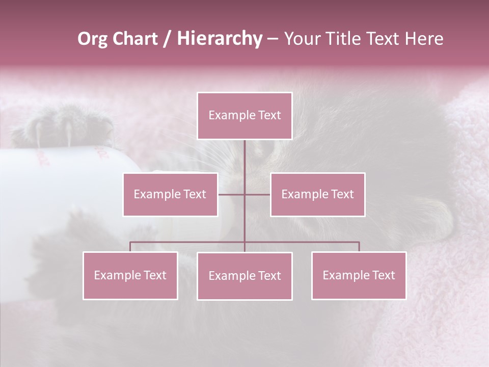 Young Finger White Background PowerPoint Template