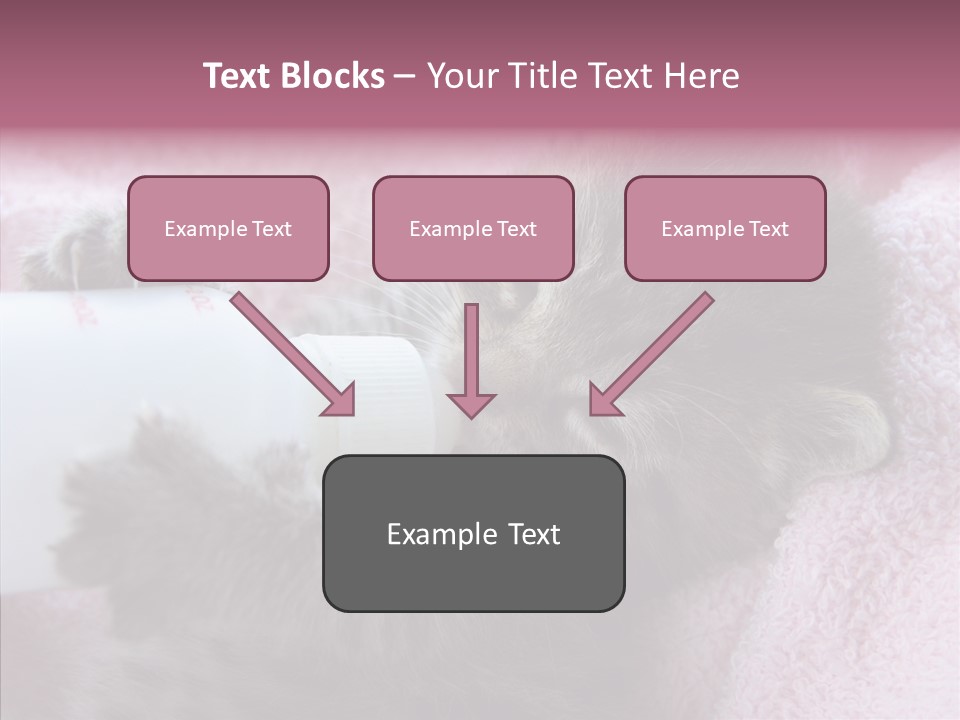 Young Finger White Background PowerPoint Template