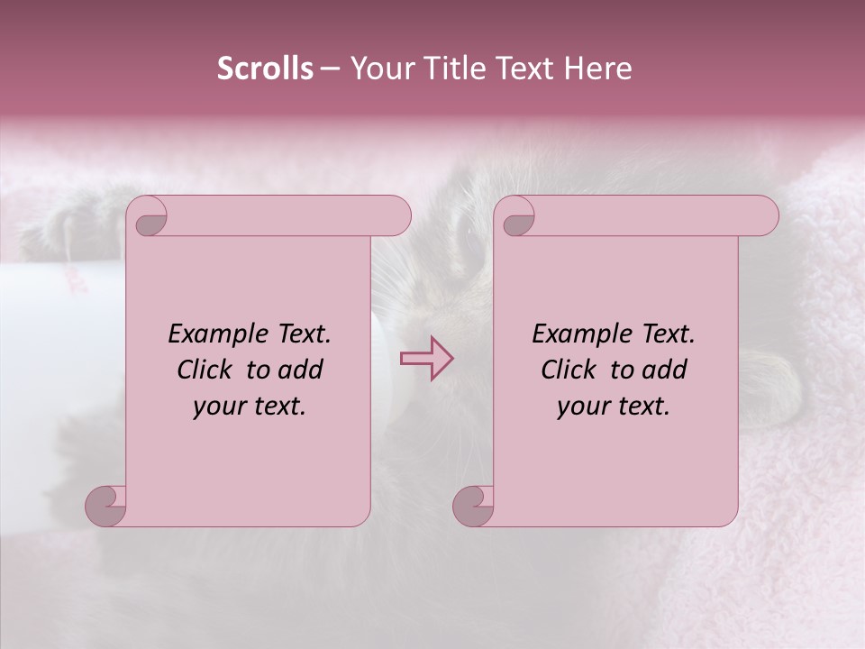 Young Finger White Background PowerPoint Template