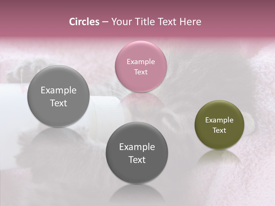 Young Finger White Background PowerPoint Template