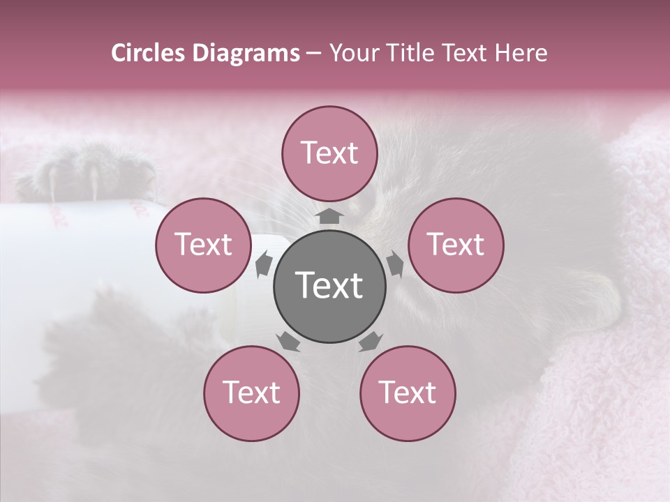 Young Finger White Background PowerPoint Template