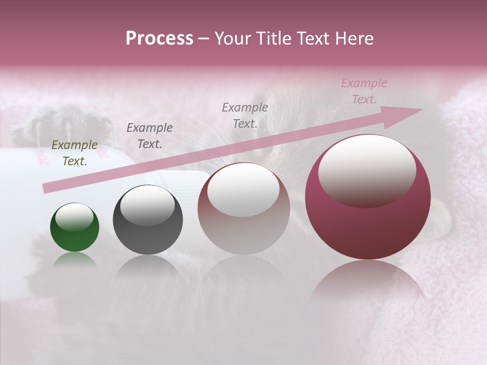 Young Finger White Background PowerPoint Template