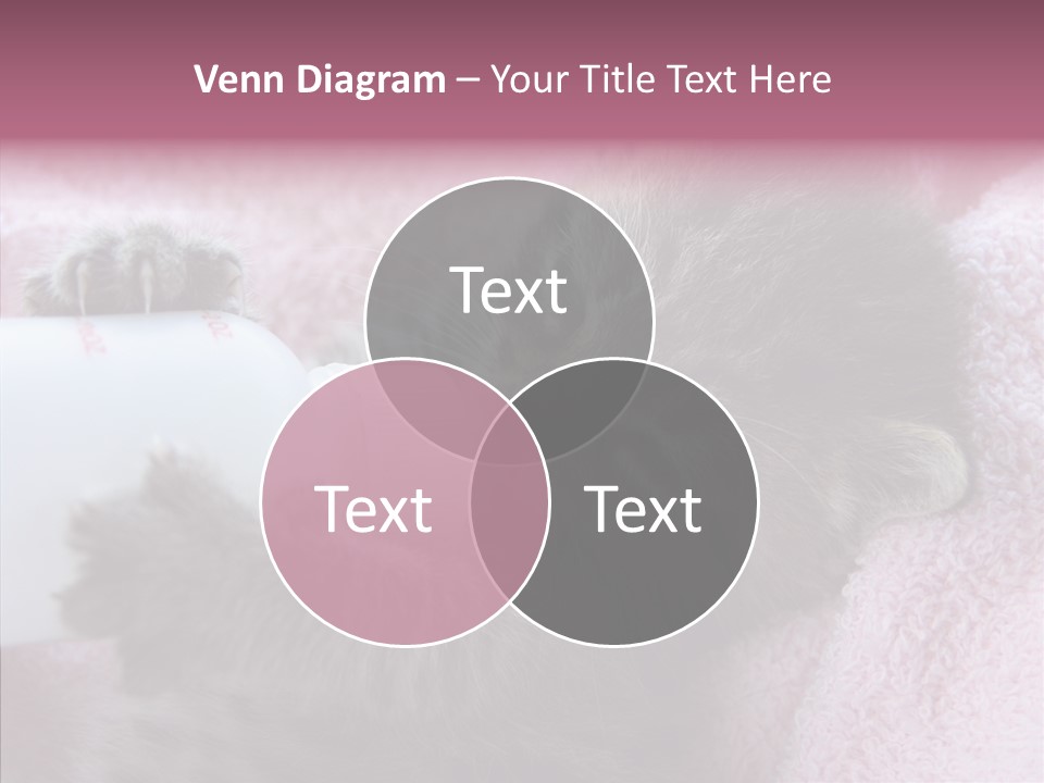 Young Finger White Background PowerPoint Template