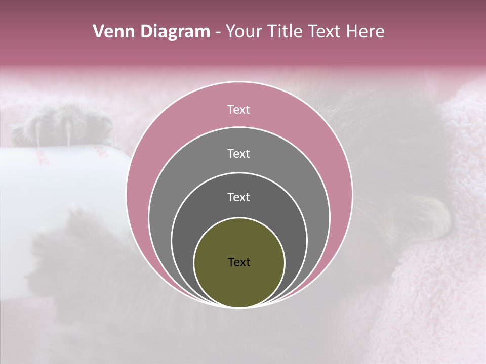 Young Finger White Background PowerPoint Template