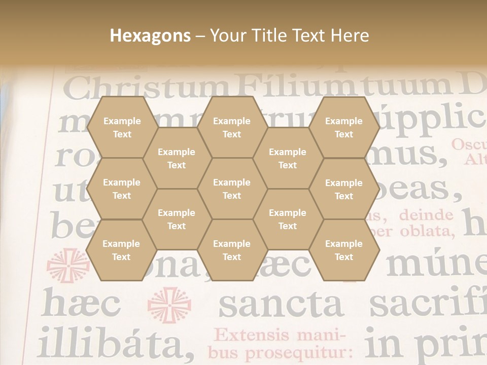 Senior  Grandmother Background PowerPoint Template