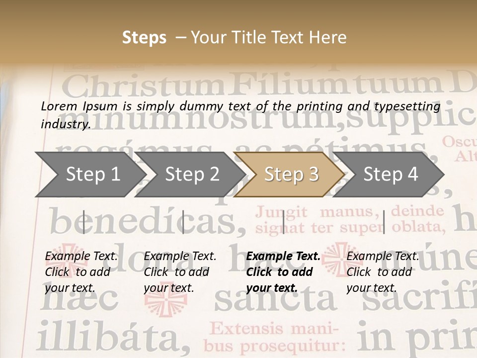 Senior  Grandmother Background PowerPoint Template