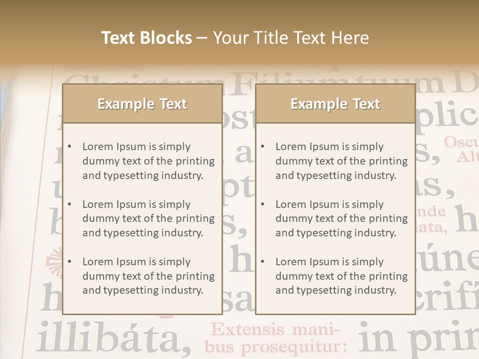 Senior  Grandmother Background PowerPoint Template