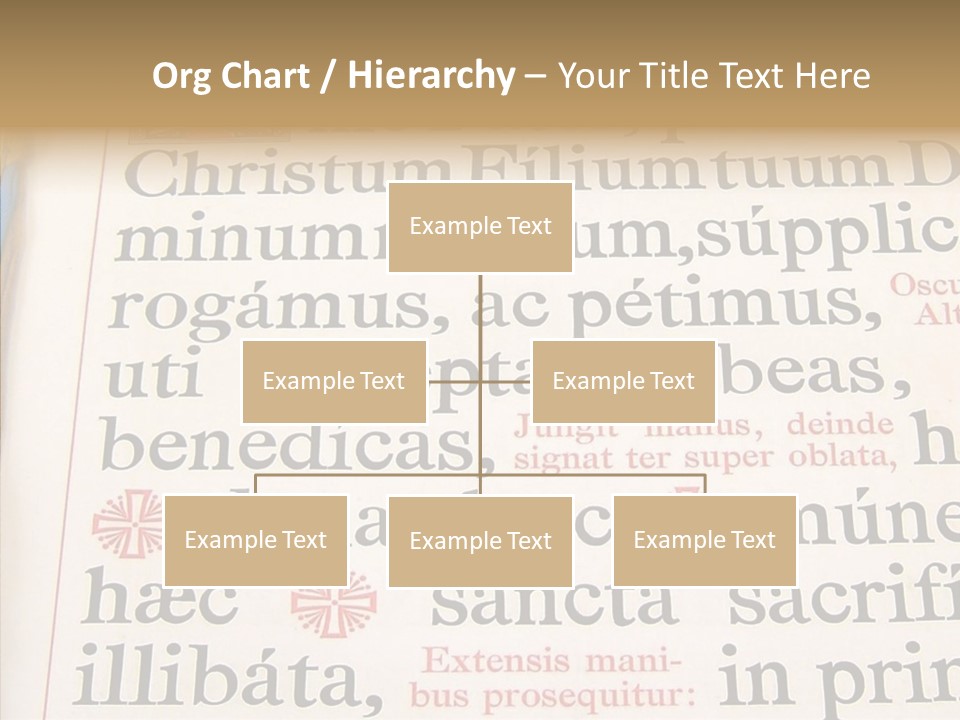 Senior  Grandmother Background PowerPoint Template