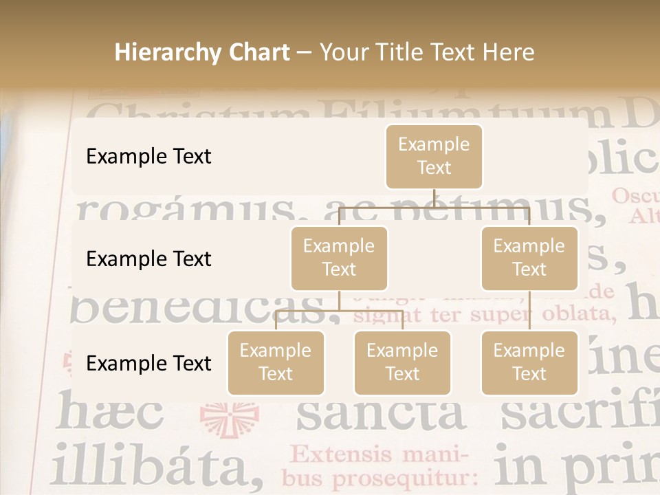 Senior  Grandmother Background PowerPoint Template