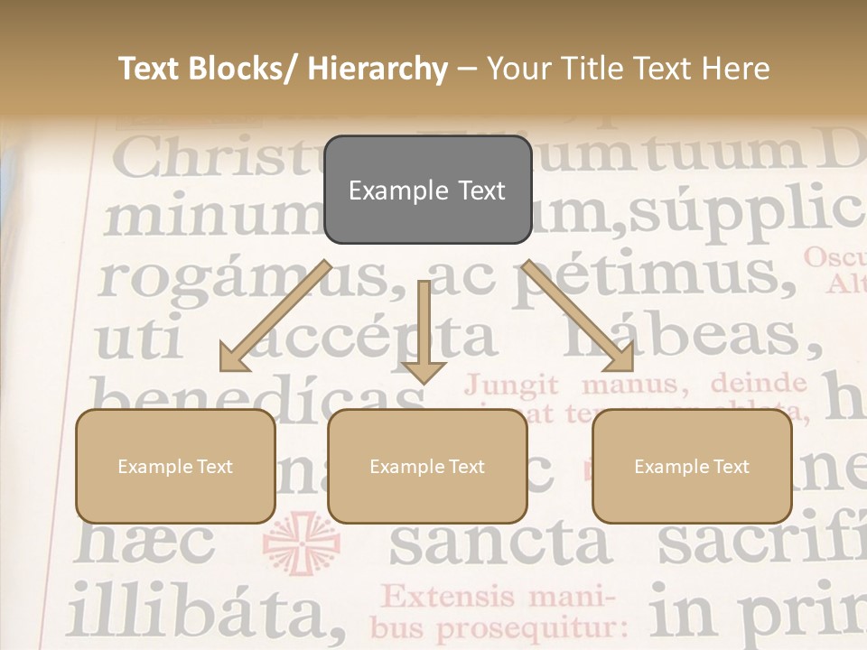 Senior  Grandmother Background PowerPoint Template