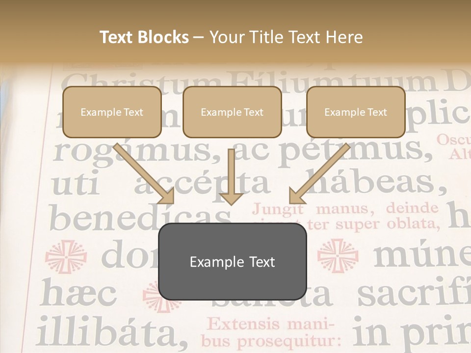Senior  Grandmother Background PowerPoint Template