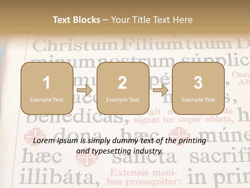 Senior  Grandmother Background PowerPoint Template