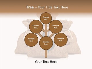 Female Touching Grandmother PowerPoint Template