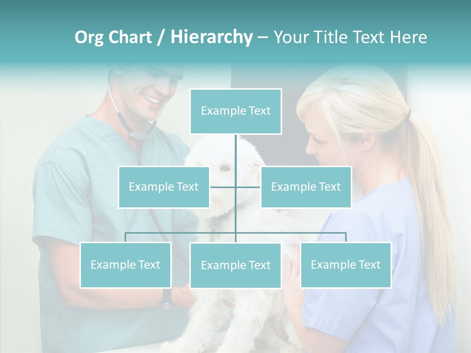 Assistance Elderly Background PowerPoint Template