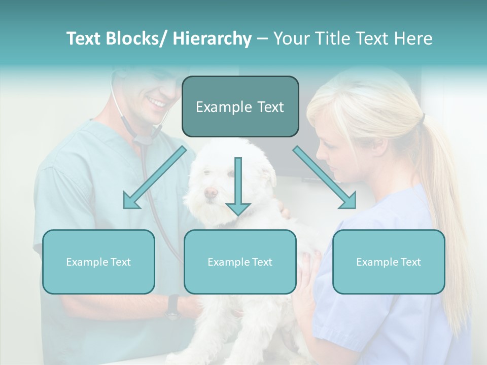 Assistance Elderly Background PowerPoint Template