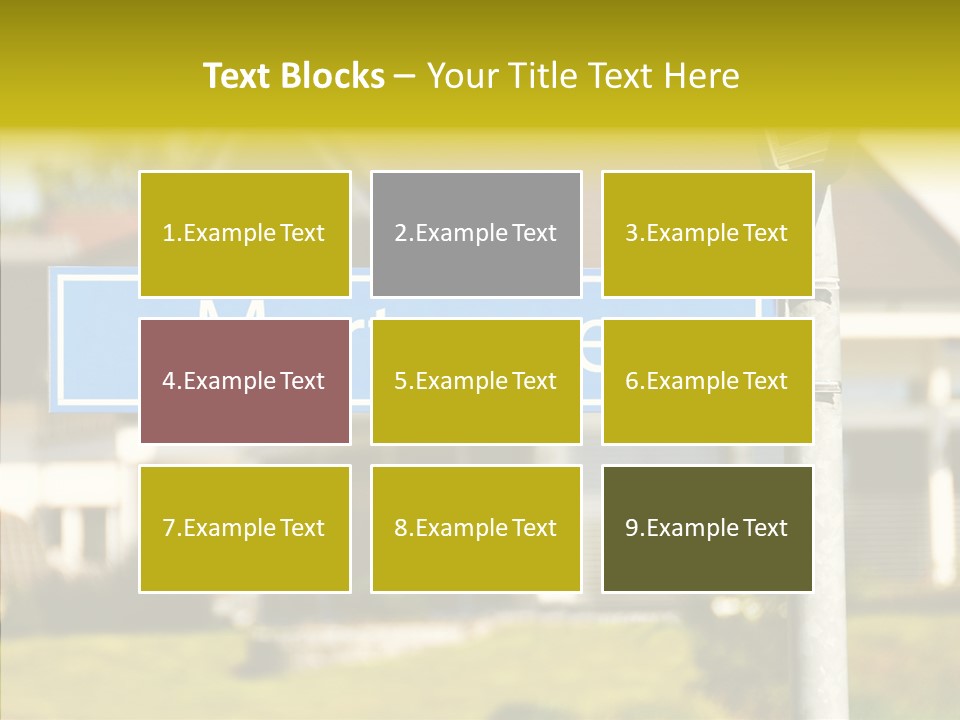 Senior  Elderly Caregiver PowerPoint Template