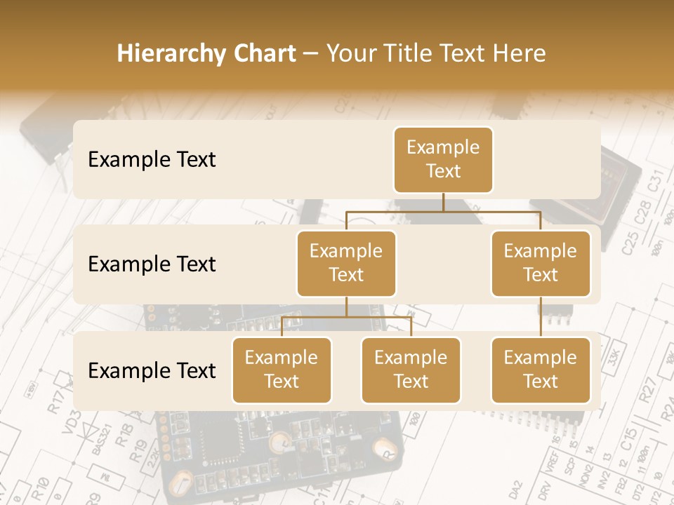 Adult Grandmother Women PowerPoint Template