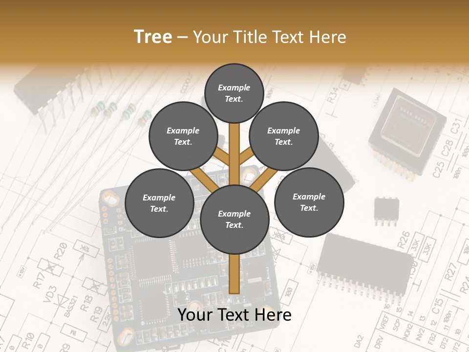 Adult Grandmother Women PowerPoint Template