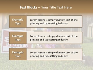 Hand Women Elder PowerPoint Template