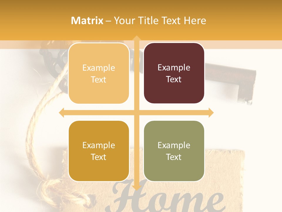 Senior  Human Assist PowerPoint Template