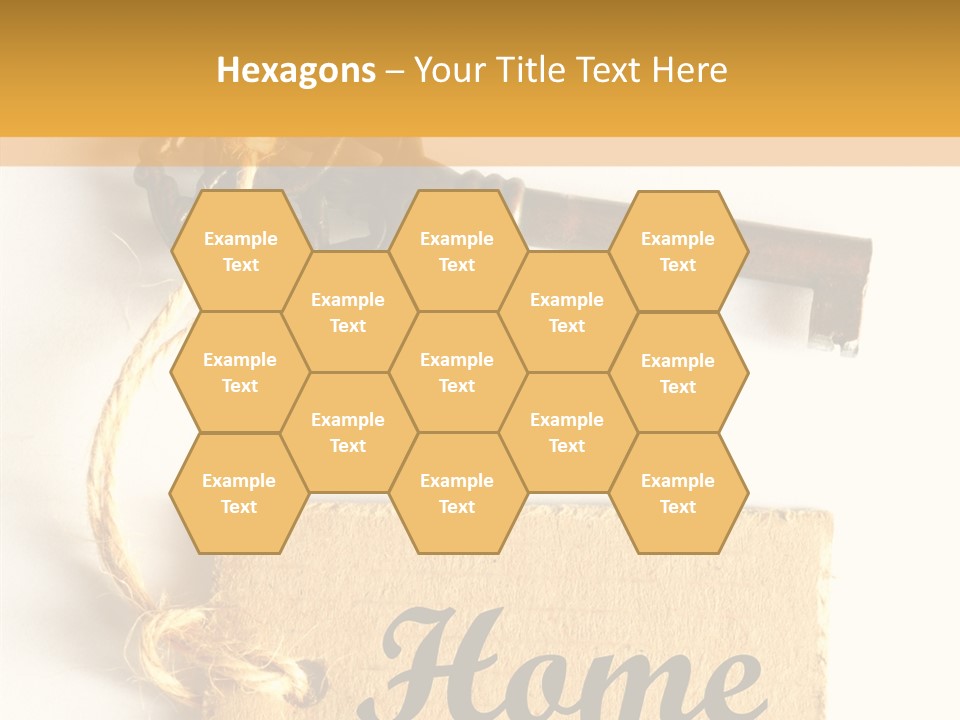 Senior  Human Assist PowerPoint Template
