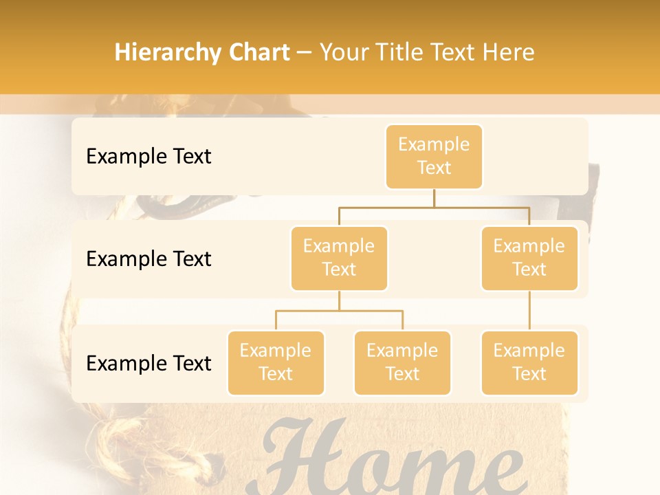 Senior  Human Assist PowerPoint Template