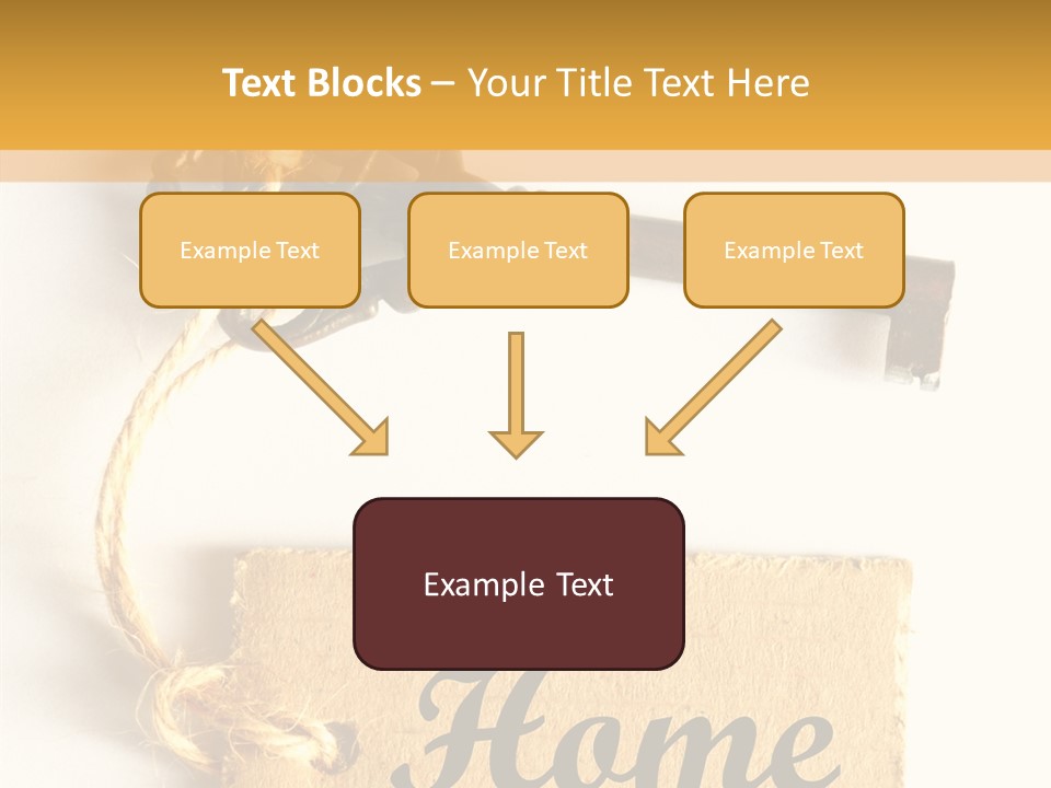 Senior  Human Assist PowerPoint Template
