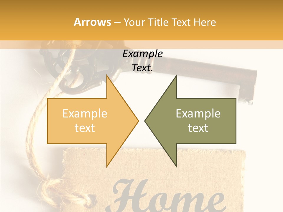 Senior  Human Assist PowerPoint Template