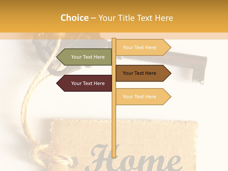 Senior  Human Assist PowerPoint Template