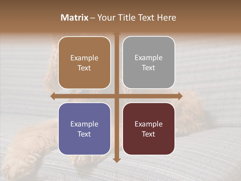 Care Grandmother Finger PowerPoint Template