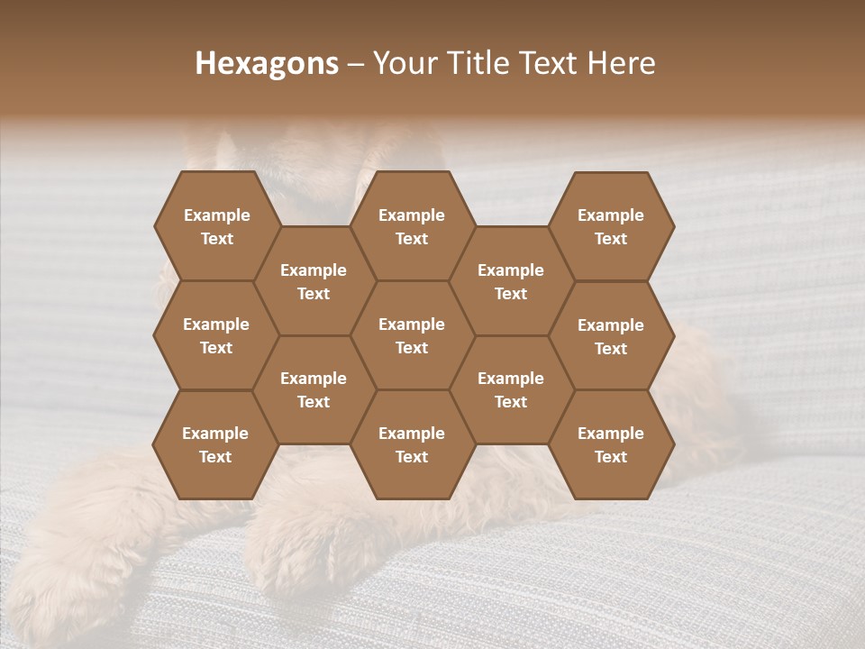 Care Grandmother Finger PowerPoint Template