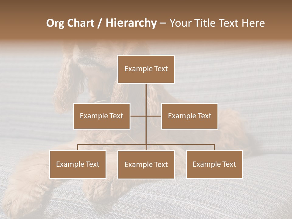 Care Grandmother Finger PowerPoint Template