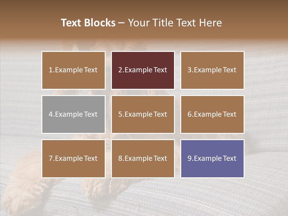 Care Grandmother Finger PowerPoint Template