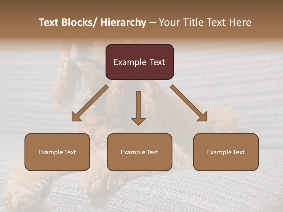 Care Grandmother Finger PowerPoint Template
