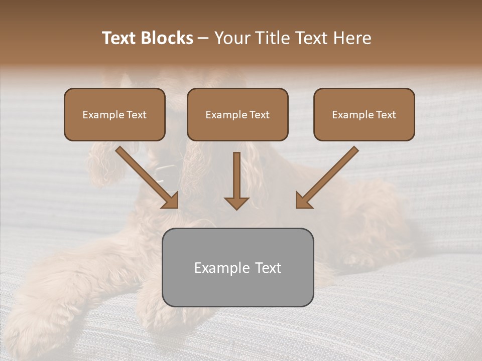 Care Grandmother Finger PowerPoint Template