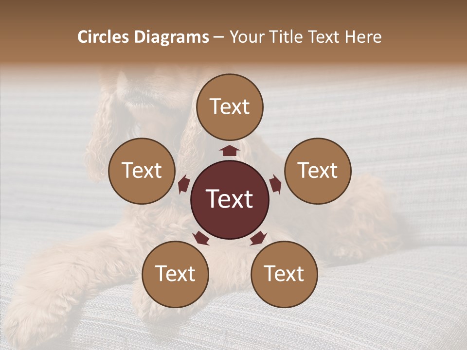 Care Grandmother Finger PowerPoint Template