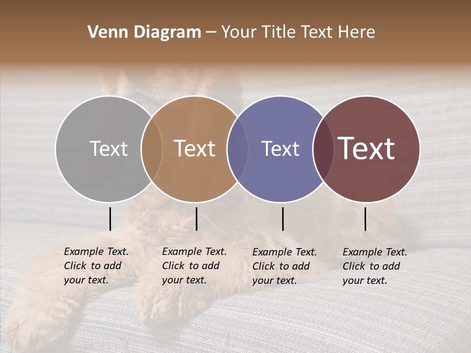 Care Grandmother Finger PowerPoint Template