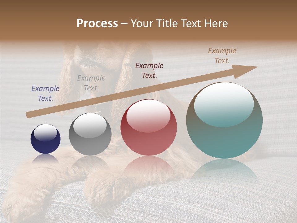 Care Grandmother Finger PowerPoint Template